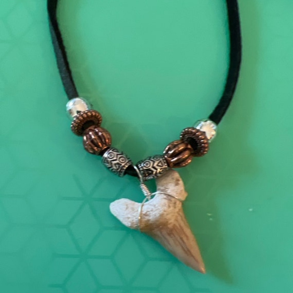 Shark tooth Necklace
